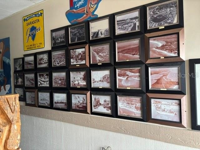 Picture 8
