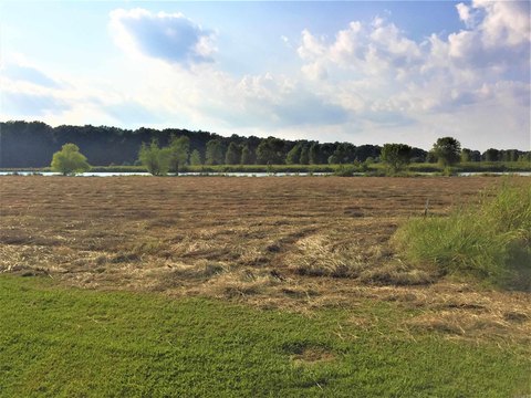 Residential Land Near Mound Lake