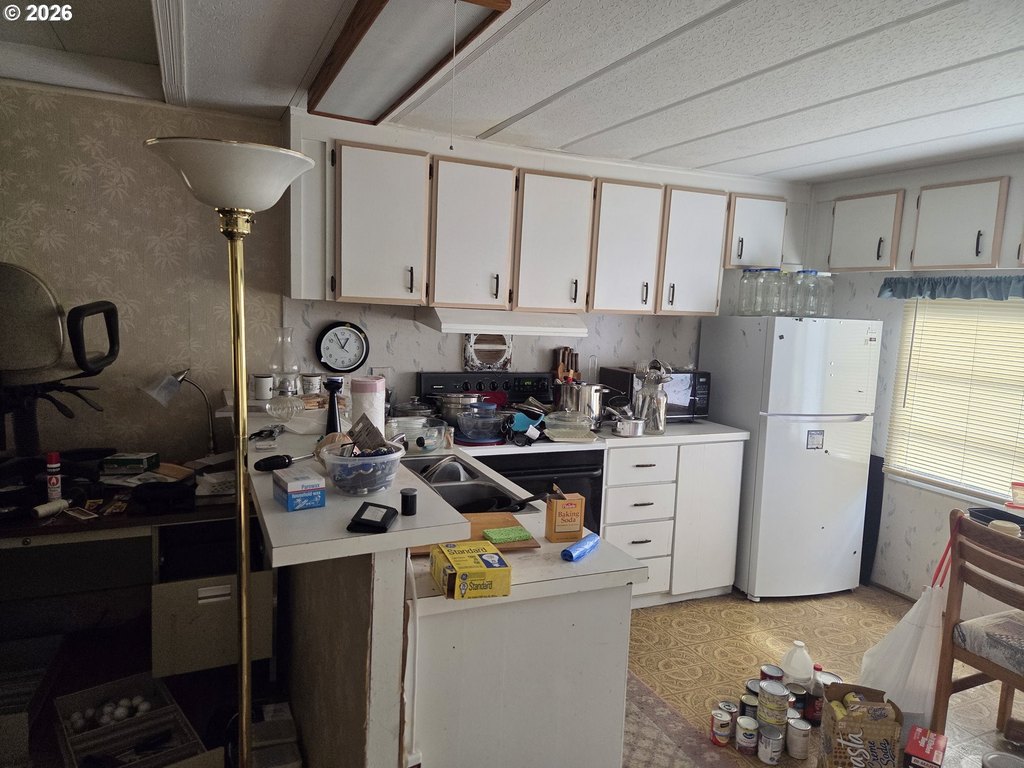 Picture 17