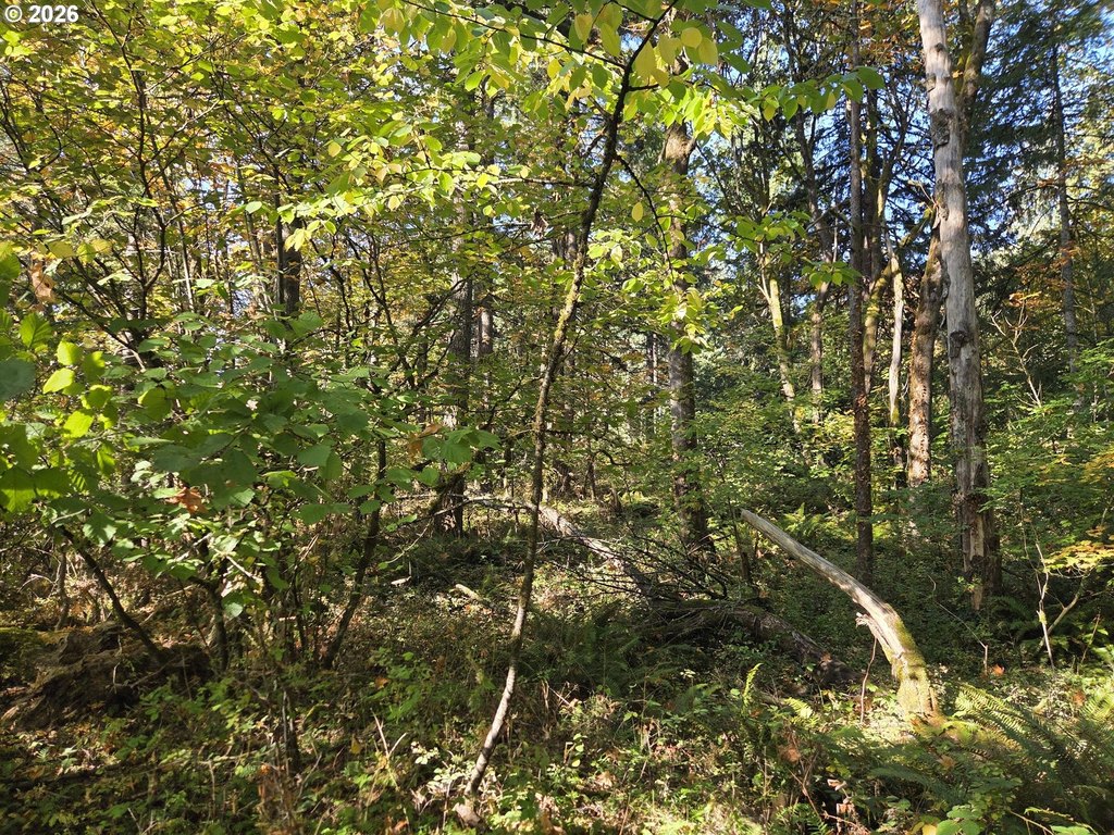 Picture 13