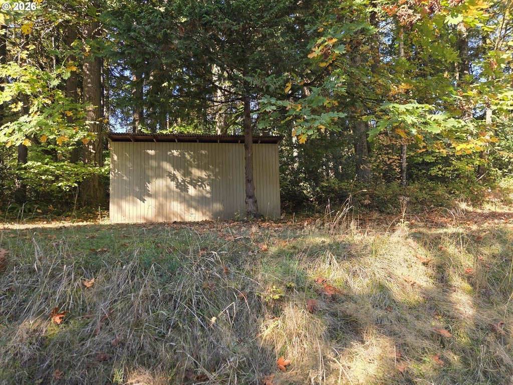 Picture 14