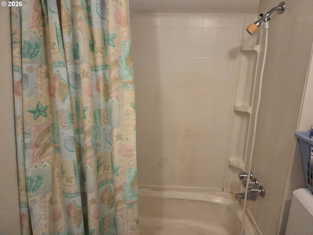 Picture 28