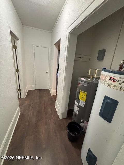 Picture 14