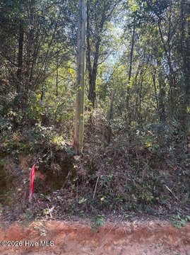 Land, Aiken, SC