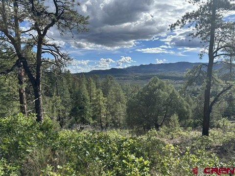 LAND, Pagosa Springs, CO