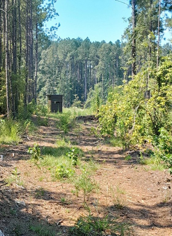 Picture 3