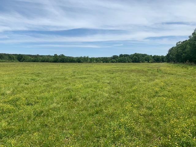 26.4 Acres of Open Pasture