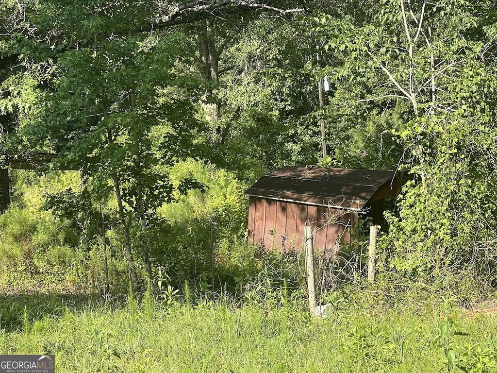 Picture 12