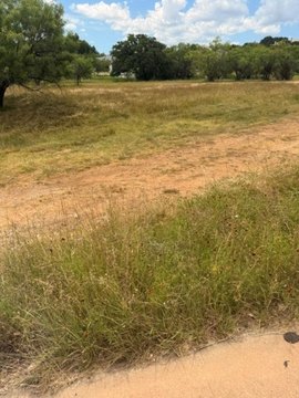 Mature Tree Residential Homesite