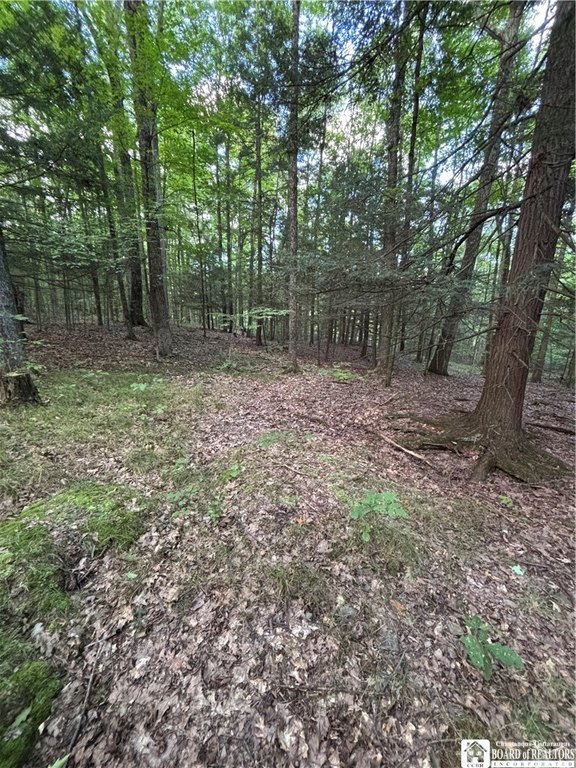 Picture 41