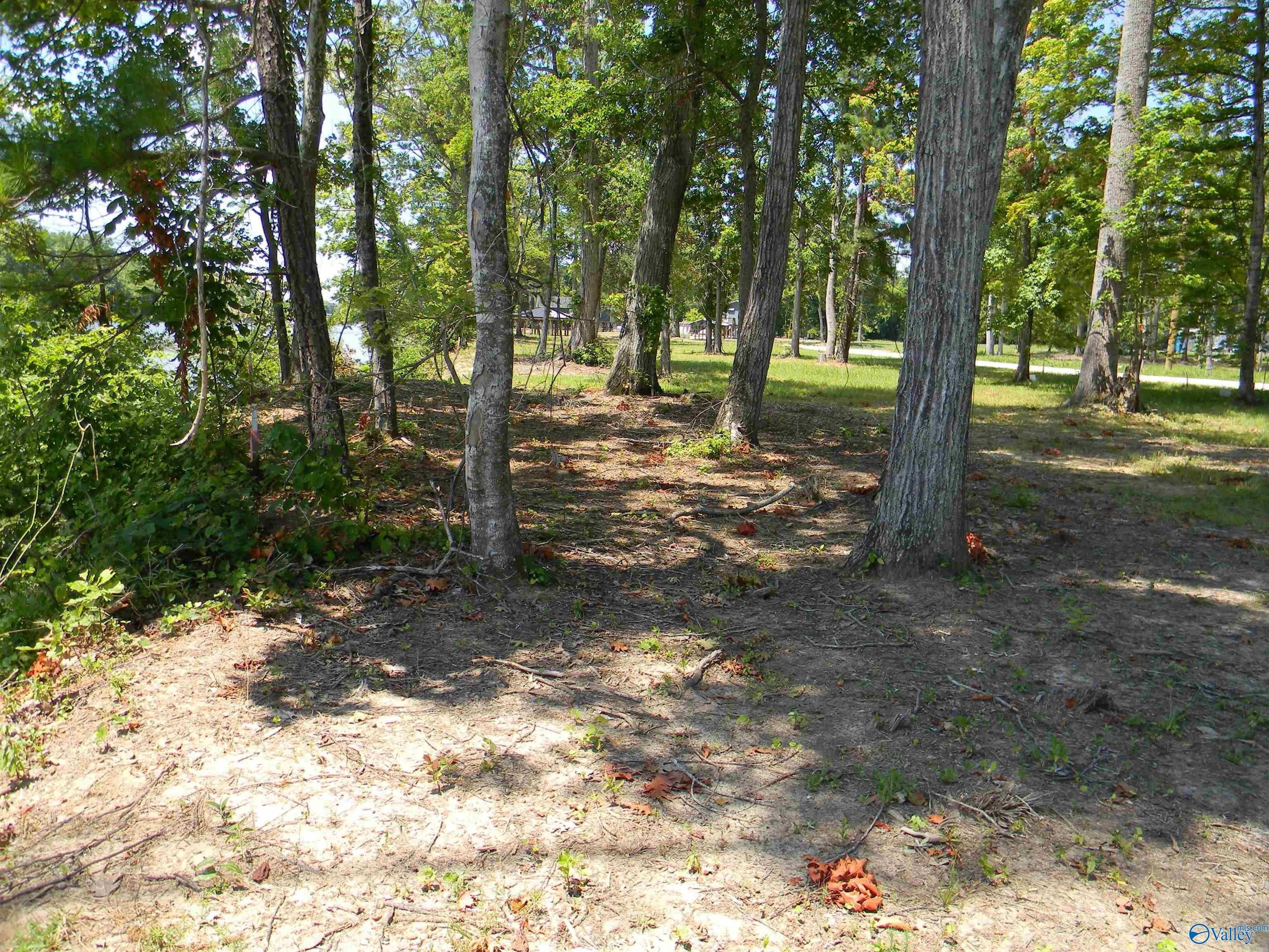 Waterfront RV Lots on Coosa
