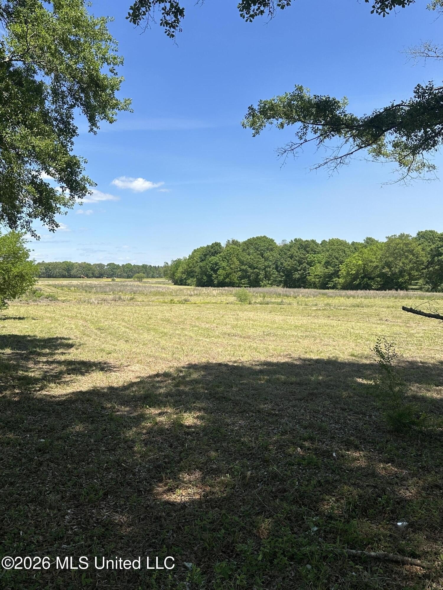 Residential Land in Brandon, MS
