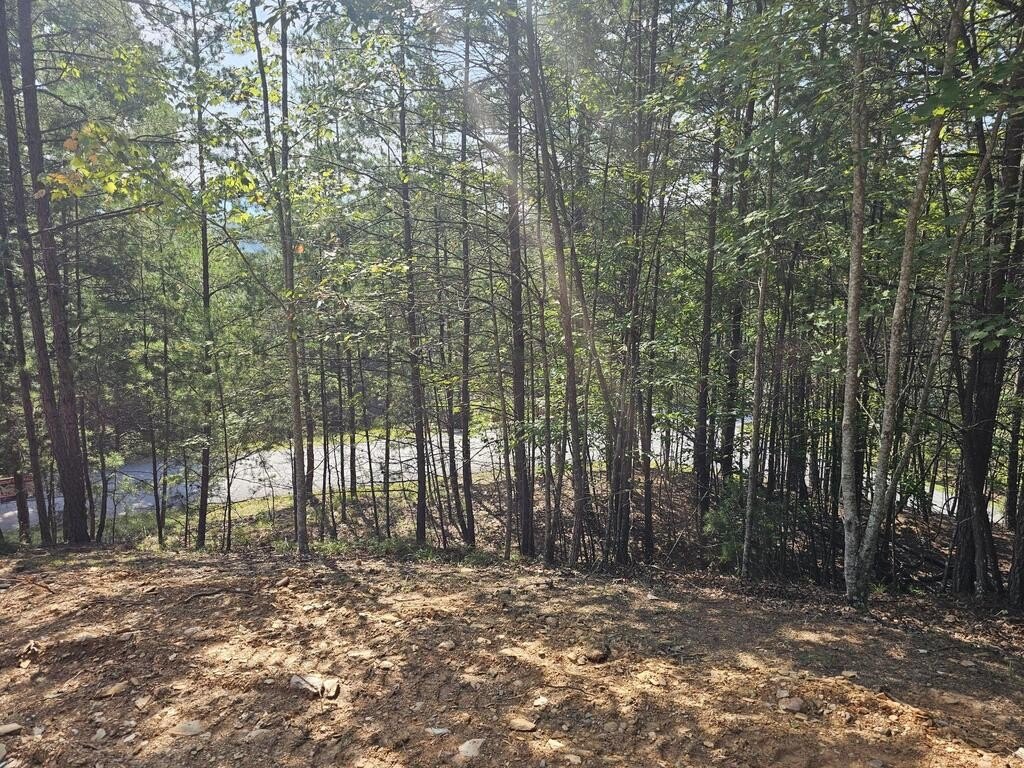 Picture 6