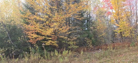 Land, Thorndike, ME