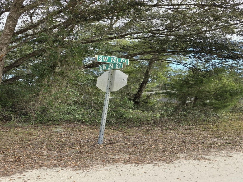 Picture 4