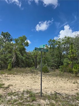LAND - Dunnellon, FL