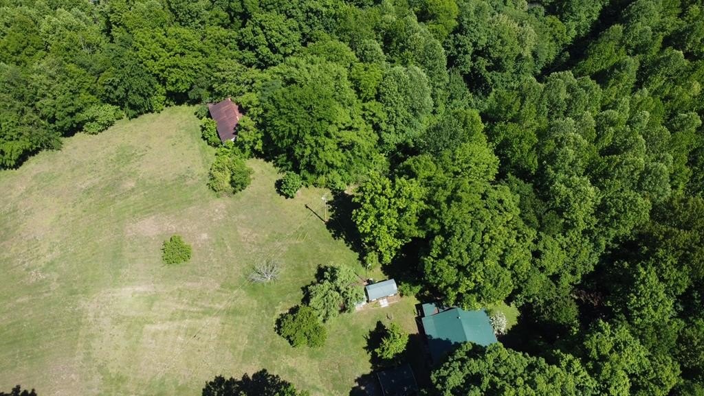 Picture 43