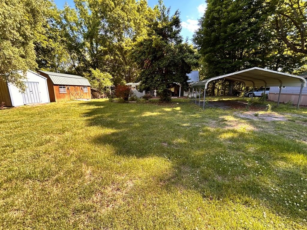Picture 25