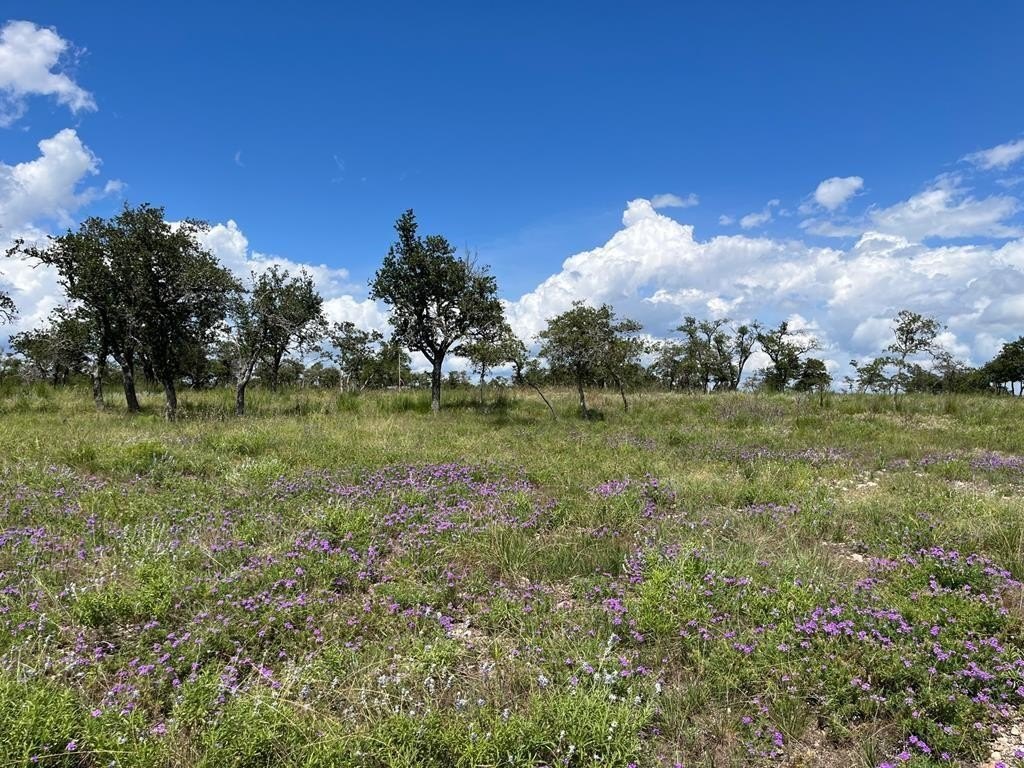 Harper, TX Land For Sale