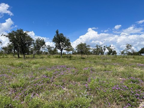 Harper, TX Land For Sale