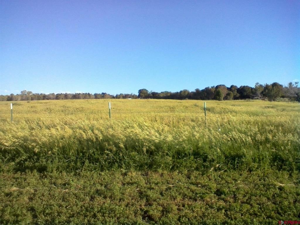 Picture 41