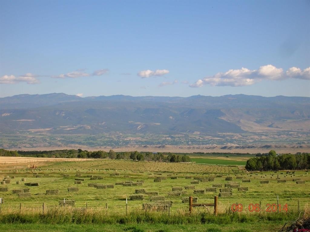 Picture 42