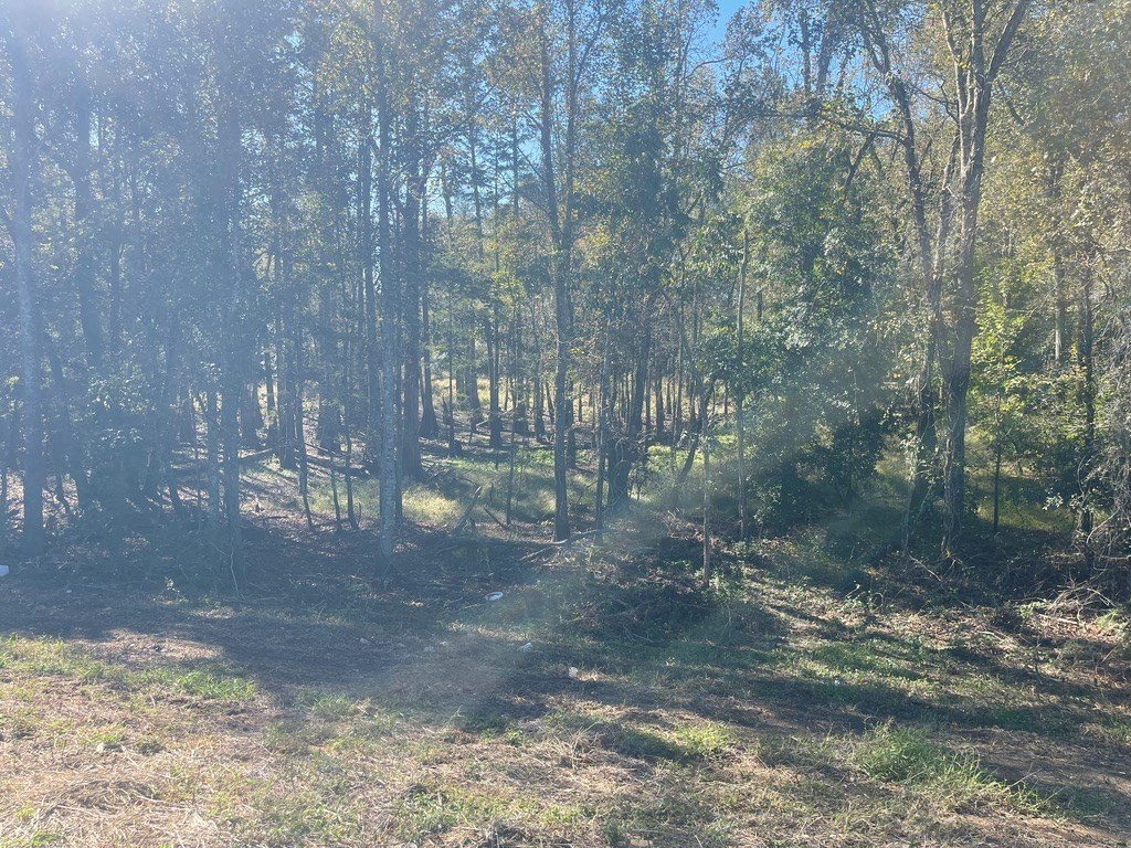 Picture 3
