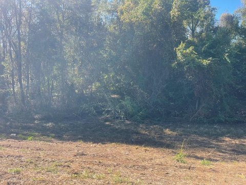 Ashford, AL Land For Sale