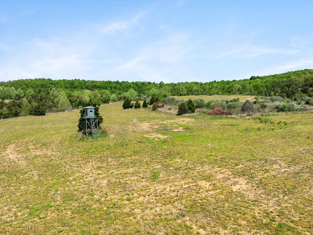 Picture 40