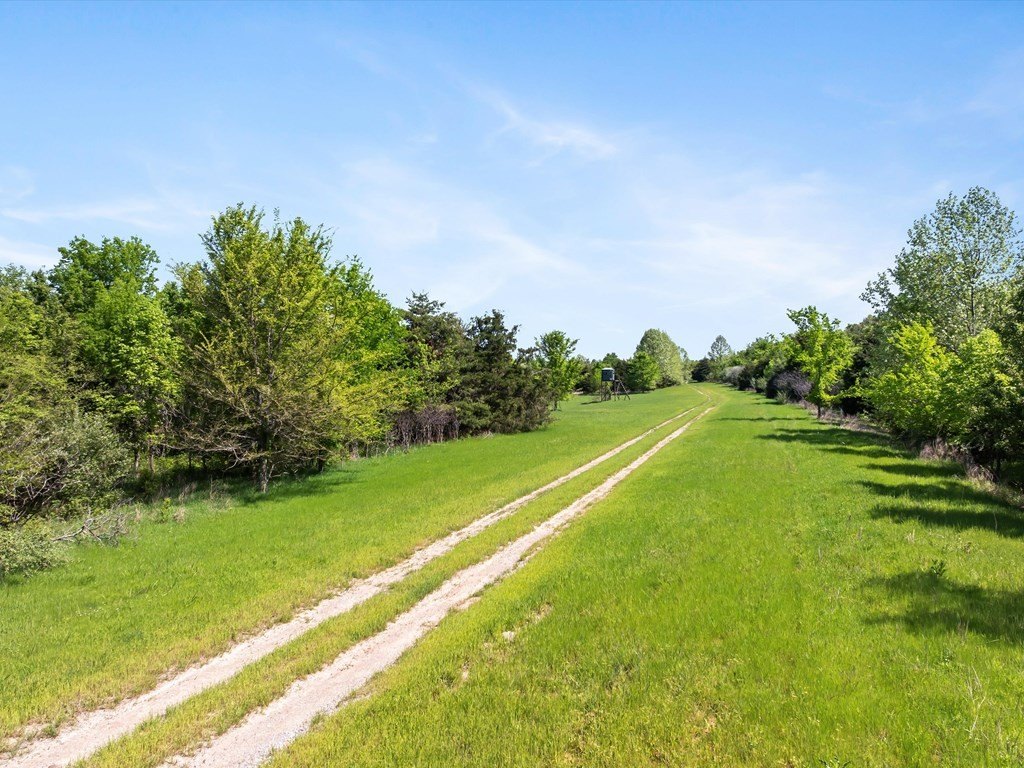 Picture 27
