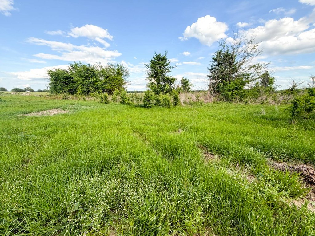Picture 25