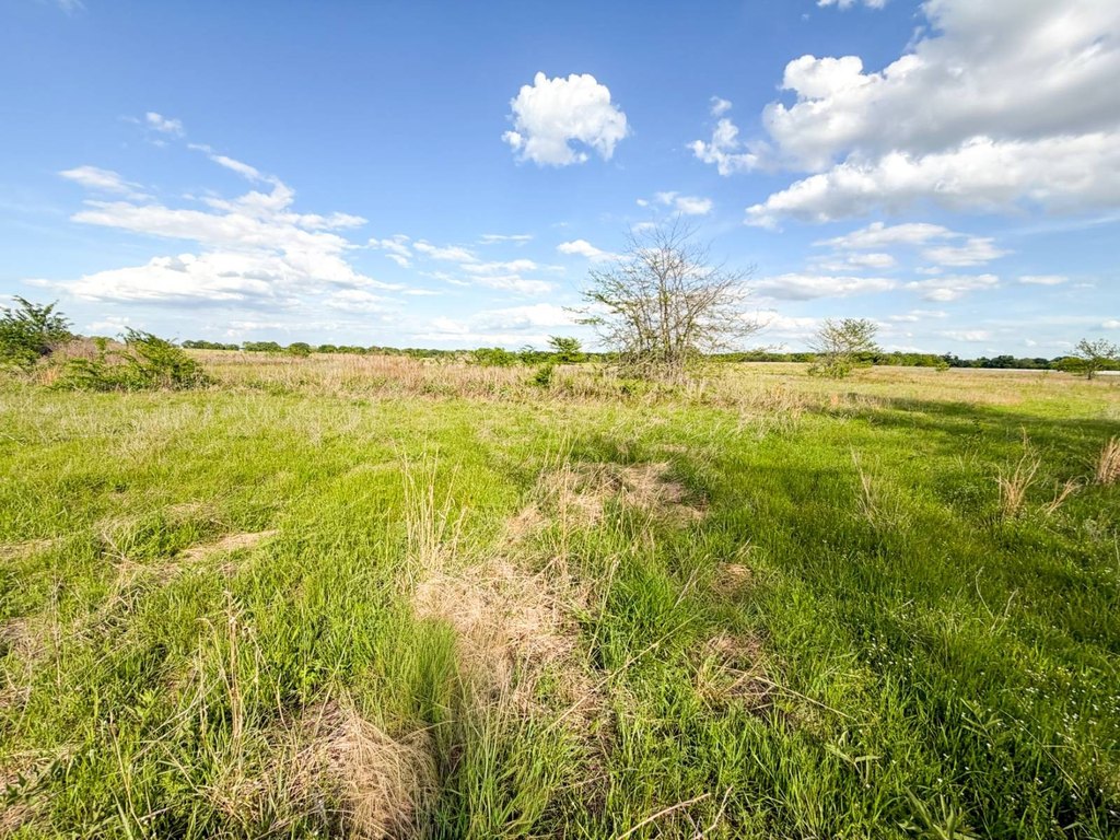 Picture 32