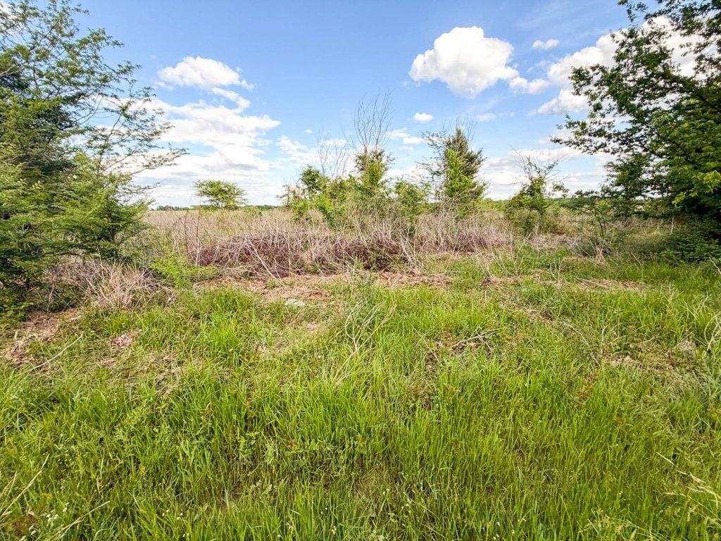 Picture 26