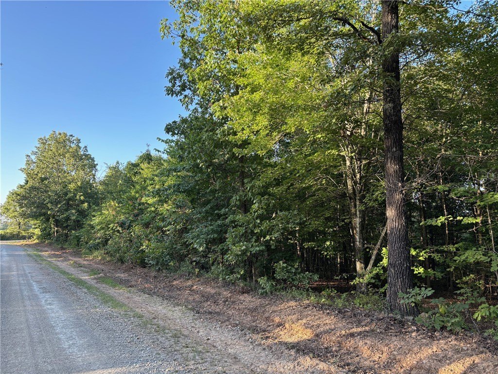Wooded Land Parcel in Everton