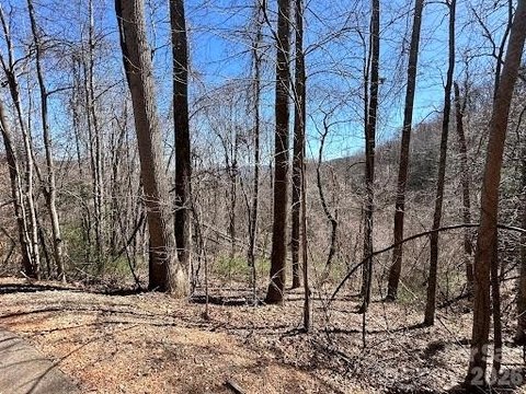 LAND - Swannanoa, NC