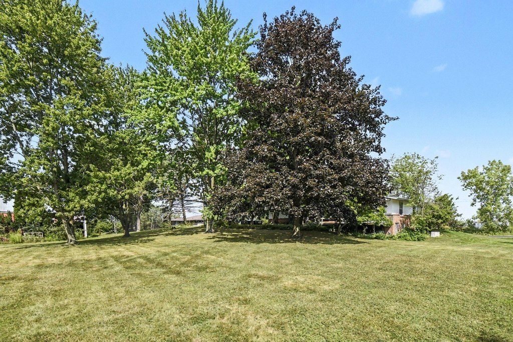 Picture 31