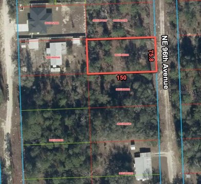LAND - BRONSON, FL