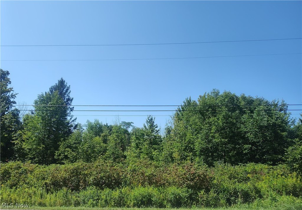Picture 5