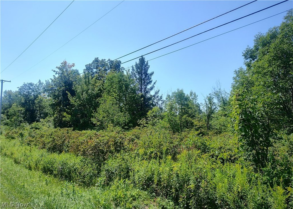 Picture 8