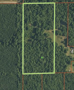 Residential Land Tract with Mature Trees