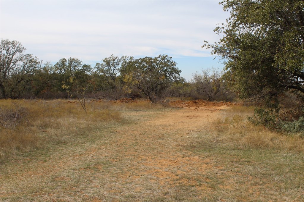 Picture 21