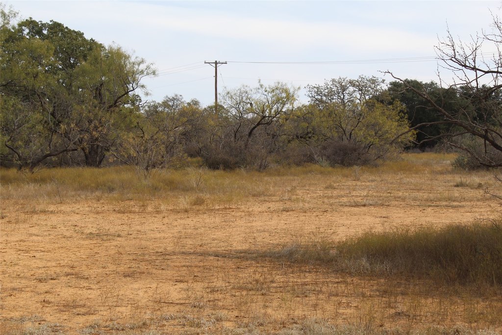 Picture 22