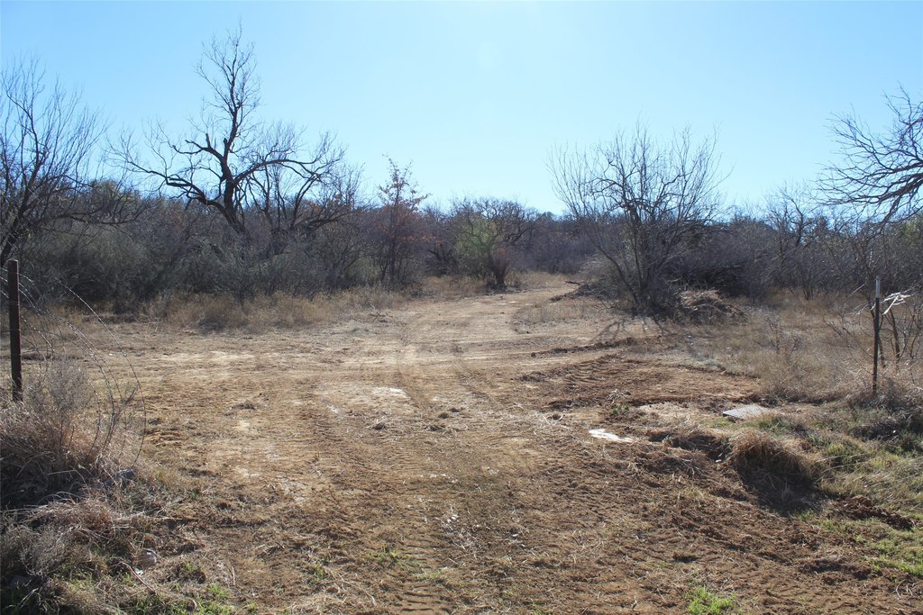 Picture 9