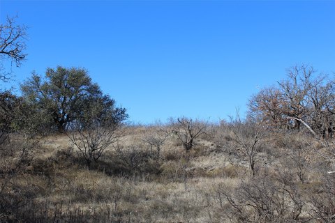 Residential Homesite with Utility Access