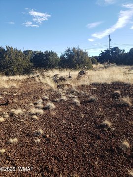 Land with Lake Rights