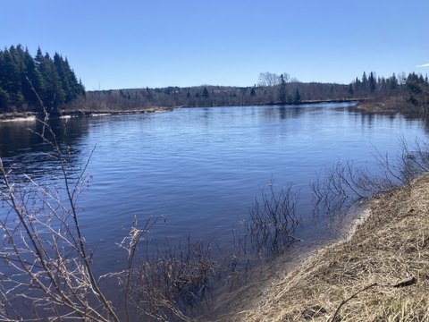 Aroostook County Land with River Frontage