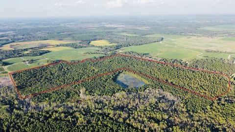 166 Acres Legacy Land, Hazlehurst