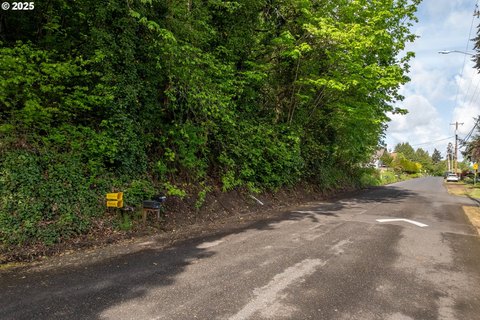 Rainier Buildable Corner Lot