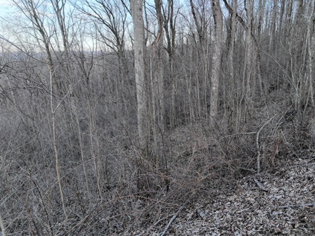Picture 31