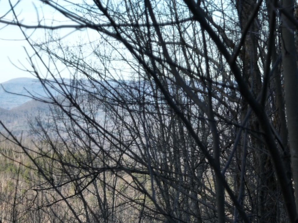 Picture 8